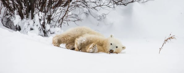 Canada