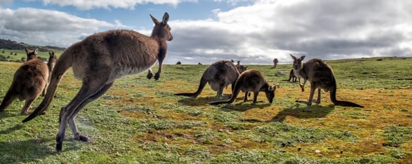 Australia